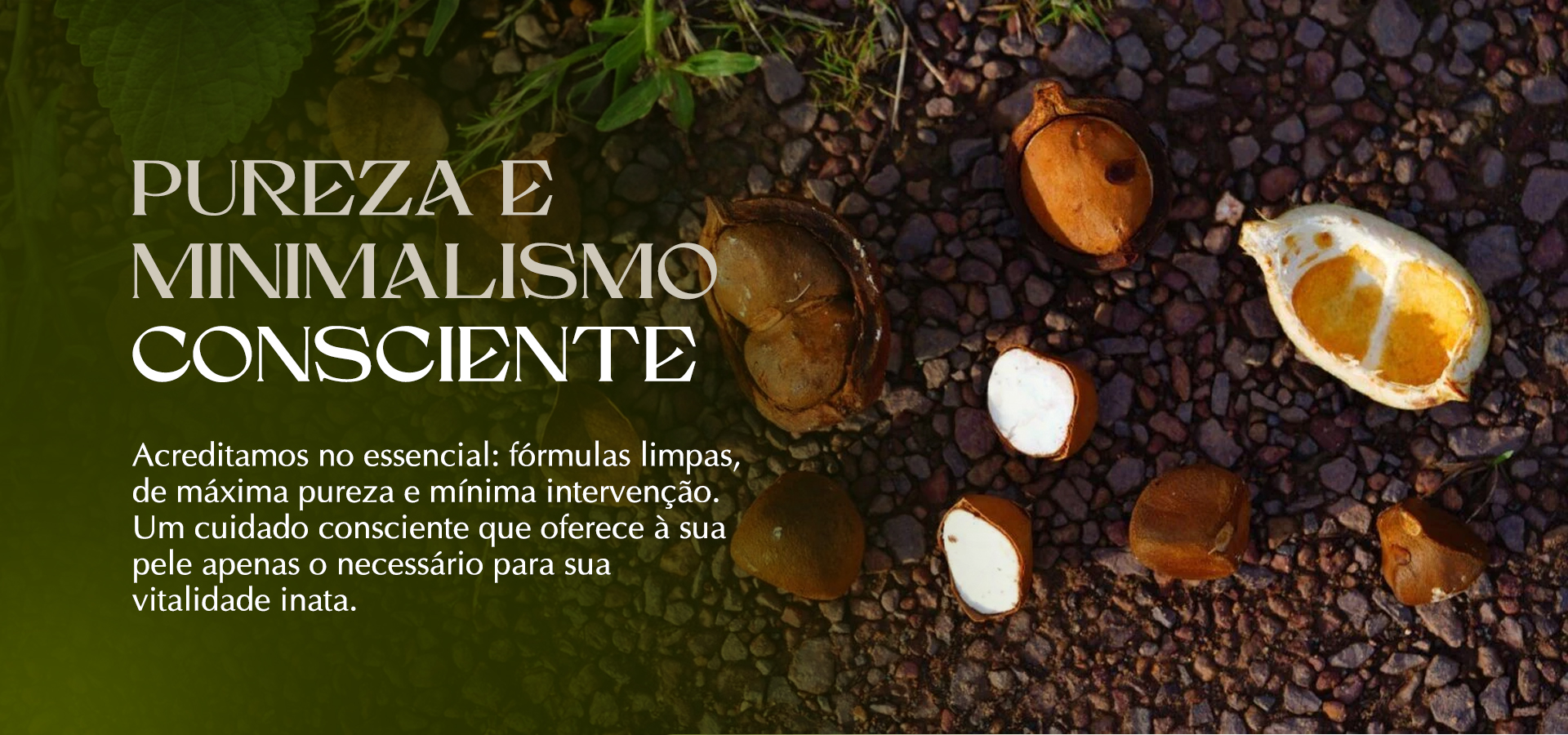 banners institucional3