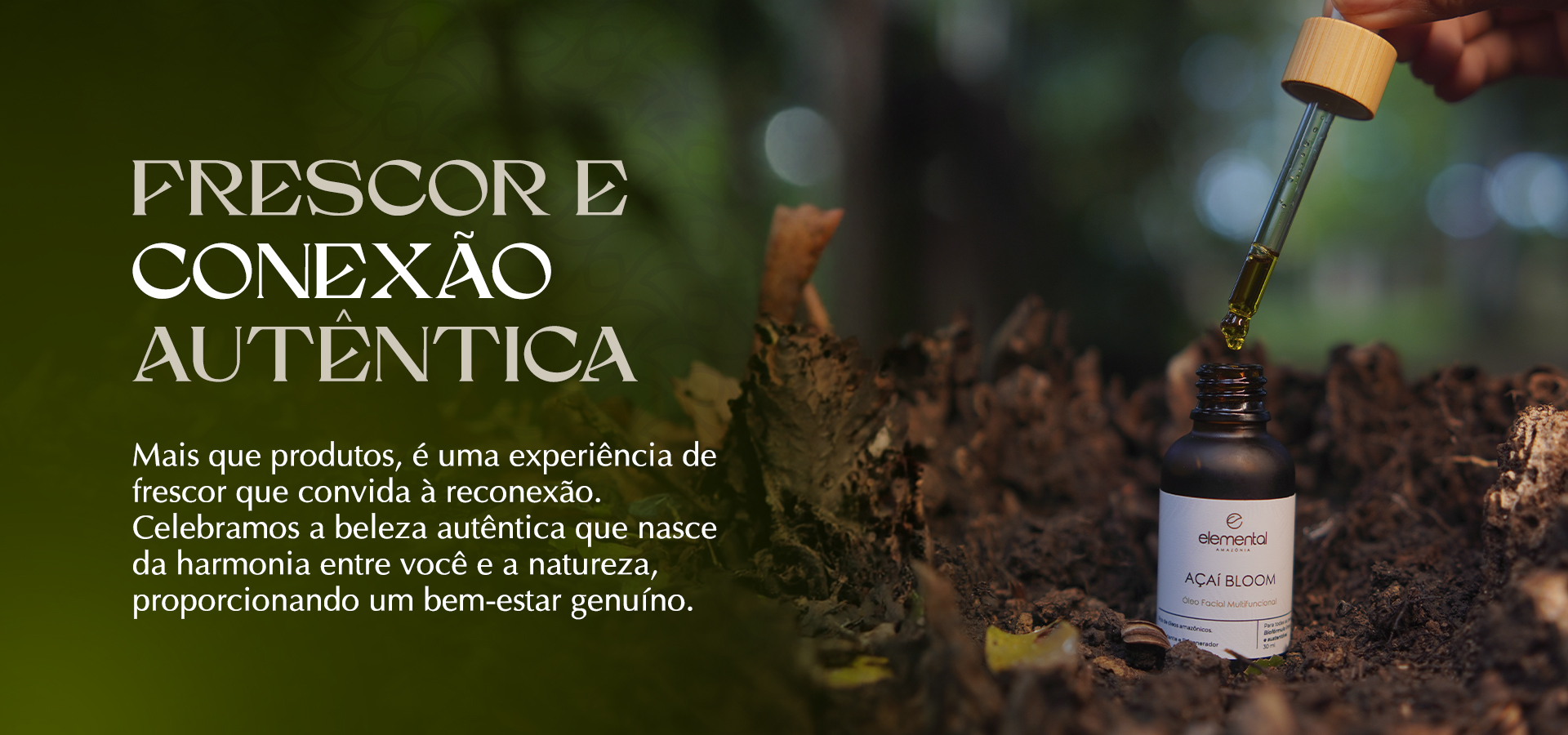 banners institucional4