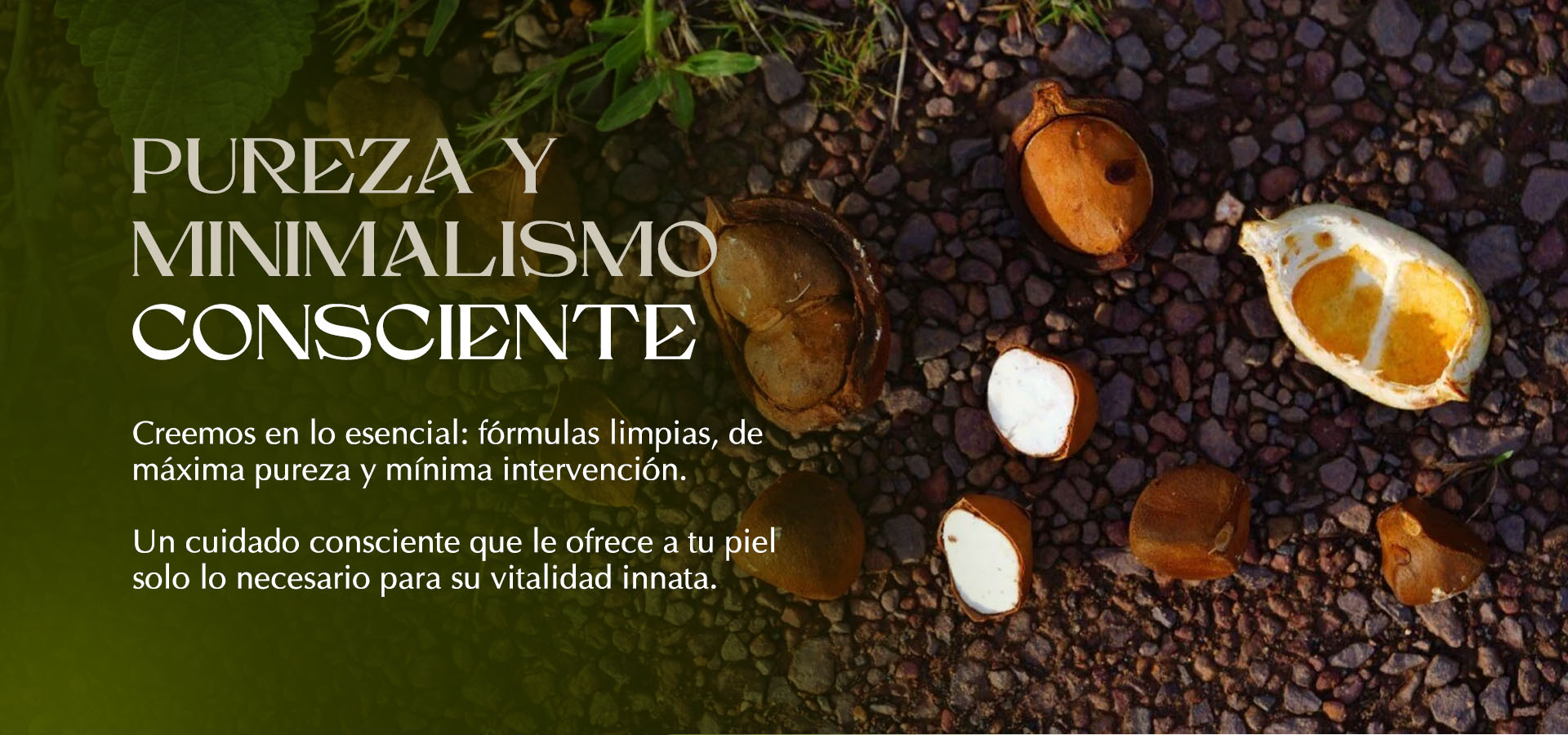 banners institucional ES3