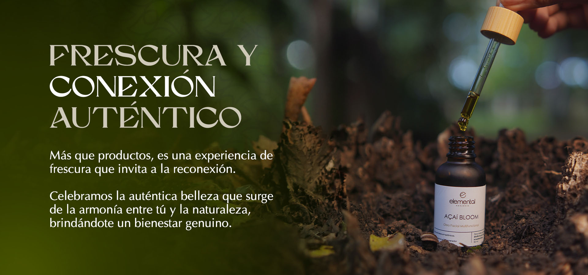 banners institucional ES4